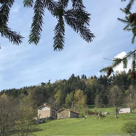 La Source D'En Haut Valcivieres Екстер'єр фото