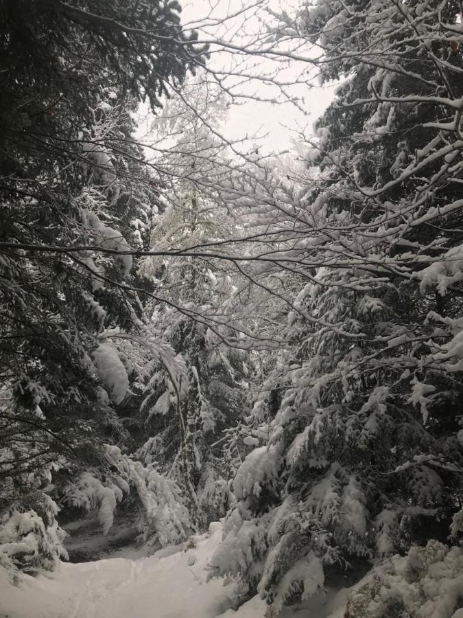 La Source D'En Haut Valcivieres Екстер'єр фото